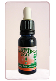 Puerta de la Confianza