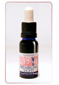 Lágrimas del Bosque