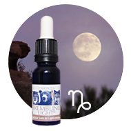 Elixir Luna en Capricornio