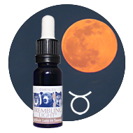 Elixir Luna en Taquro