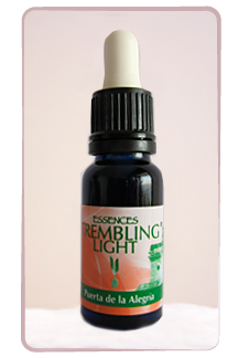 Puerta de la Alegría